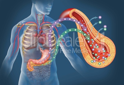 types of diabetes