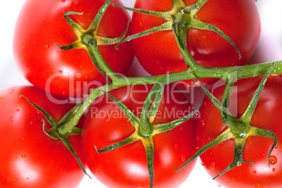 Bunch of fresh tomatoes with water drops