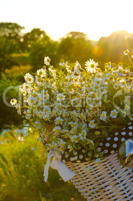 Baskets with daisies at sunset