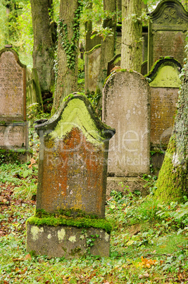 Juedischer Friedhof - jewish cemetary 10