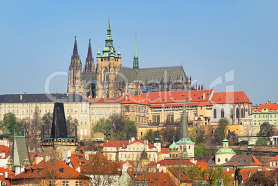 Prag Dom - Prague cathedral 06