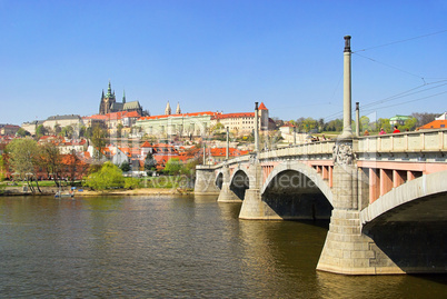 Prag Dom - Prague cathedral 08