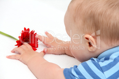 baby with flower on white bed