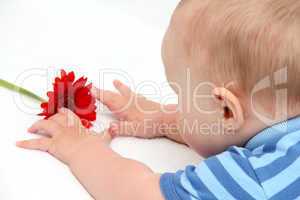 baby with flower on white bed