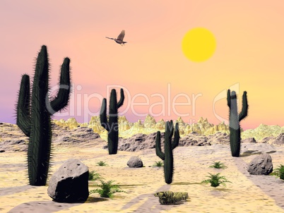 Arizona desert - 3D render