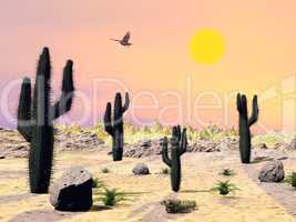 Arizona desert - 3D render