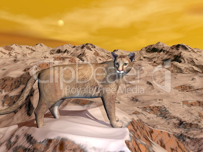 Cougar in the mountain - 3D render