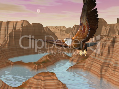 Eagle upon canyons - 3D render