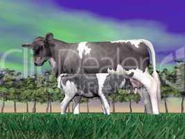 Calf suckling - 3D render