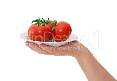 plate with tomatoes