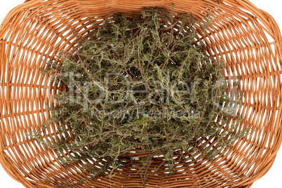 Rosemary in basket