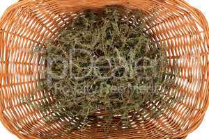 Rosemary in basket