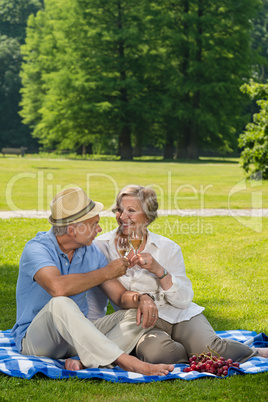 Senior couple on romantic picnic sunny day