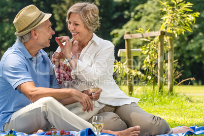 Smiling pensioner couple picnicking summer