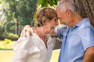 Elderly couple laughing head to head