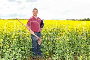 Farmer in inspection of his rapeseed field
