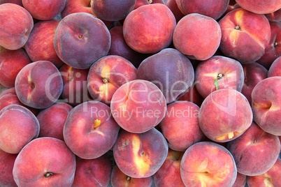 Fresh picked peaches