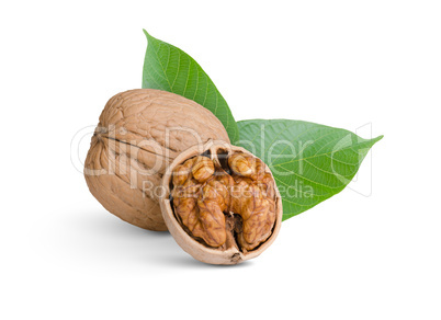 walnuts with leafs