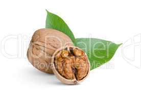 walnuts with leafs