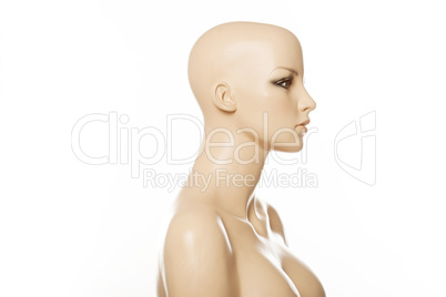 head of a female mannequin in profile isolated on white