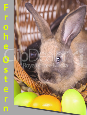 Easter card with rabbit and eggs