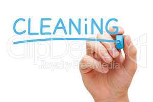 Cleaning Concept