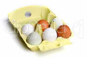 Eier in Eierpappe