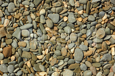 beach pebble close up
