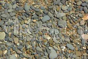 pebble beach close up