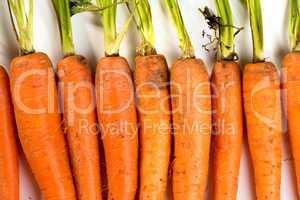 Karotten in Reihe