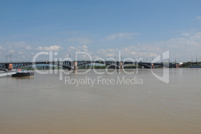 rhine river in mainz