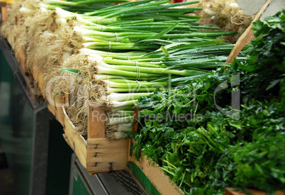 Green spring onion on market