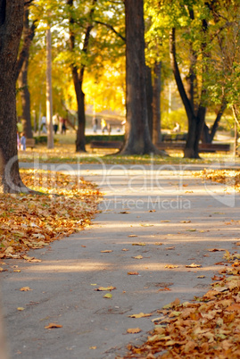 Autumn park