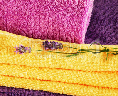 Colorful towels