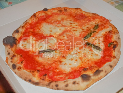 pizza margherita