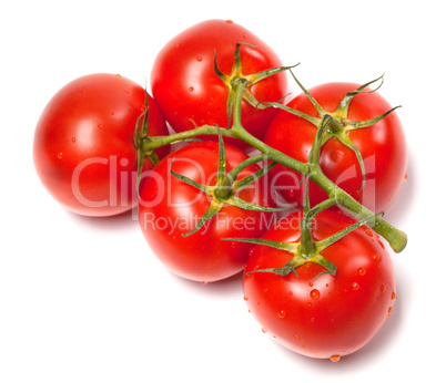 Bunch of fresh tomatoes with water drops. Top view.