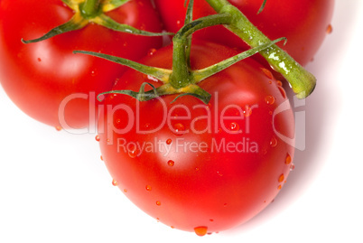 Ripe tomato with water drops. Close-up view.