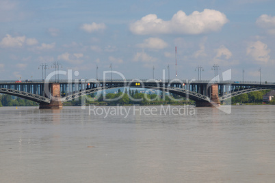 rhine river in mainz