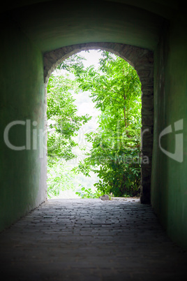 Ancient way out trough nature