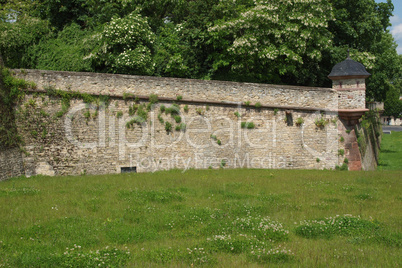 citadel of mainz