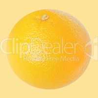 grapefruit fruit
