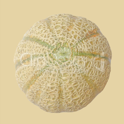 melon fruit
