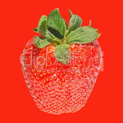 strawberries