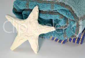 Blue plaid towel and starfish