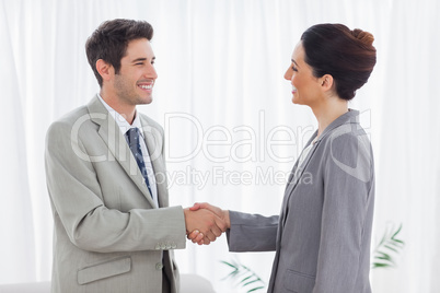 Young colleagues shaking hands during meeting