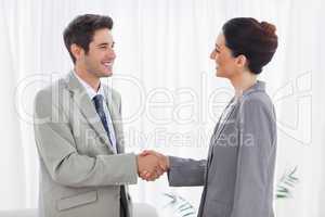 Young colleagues shaking hands during meeting