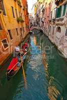 Venice Italy Gondolas on canal