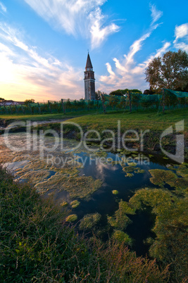 Venice Burano Mazorbo vineyard