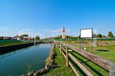 Venice Burano Mazorbo vineyard