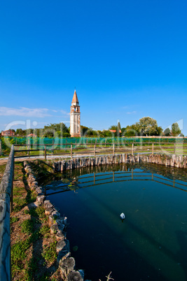 Venice Burano Mazorbo vineyard